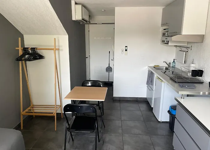 Studio 3 Proche Fac Climatise